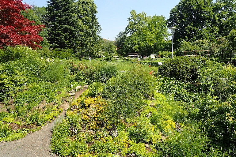 Old Botanical Garden of the University of Göttingen (photo by Krzysztof Ziarnek, Kenraiz  - CC BY-SA 4.0)