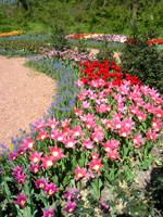 Spring at the castle of Groot-Bijgaarden