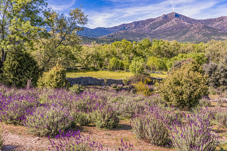 Sierra de Guadarrama National Park (&copy; Mario Eduardo Koufios Fraiz - Fotolia.com)