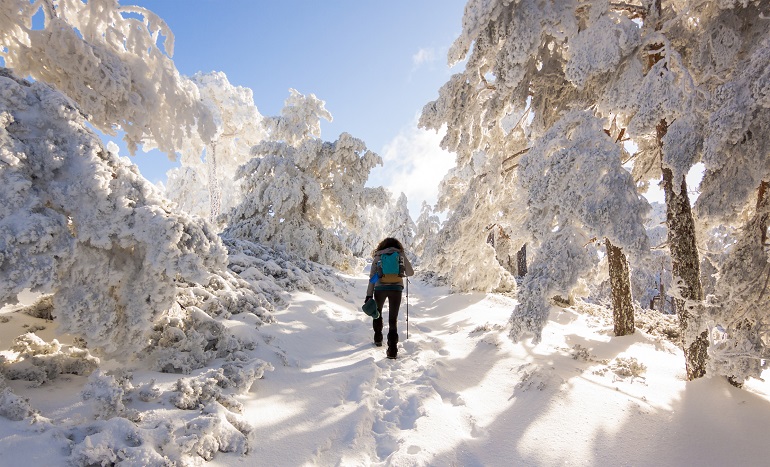Snowy landscape of the Sierra de Guadarrama National Park (© Pintxoman | Dreamstime.com)
