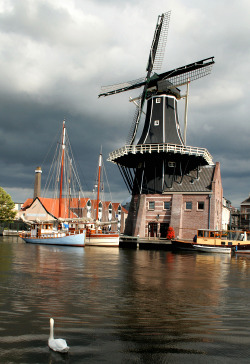 Haarlem's windmill on the Spaarne River (&copy; Jana Shea | iStockphoto.com)