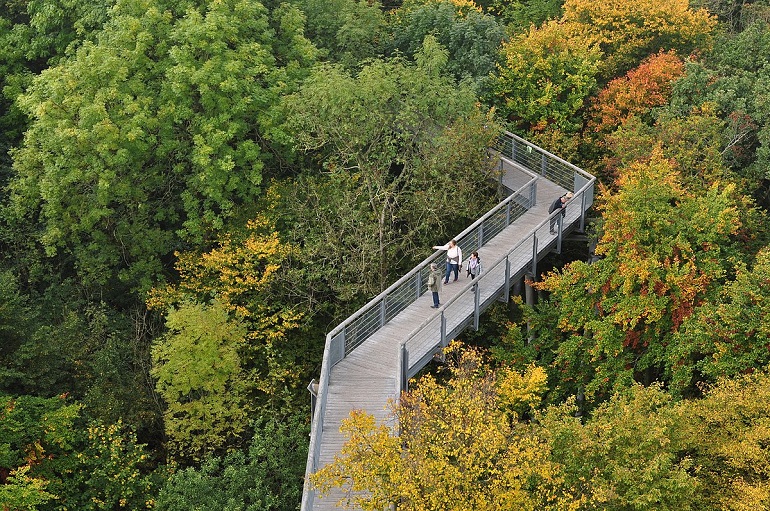 Treetop walkway in the Hainich National Park (photo by Vasilisa Fedorova - CC BY-SA 4.0)