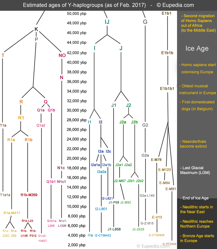 Approximative timeline of the origins of haplogroups found in Europe