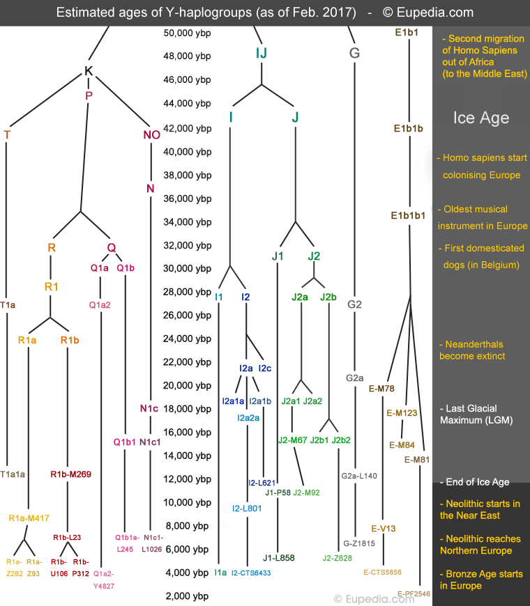 Approximativer Zeitstrahl der Herkunft der in Europa gefundenen Haplogruppen