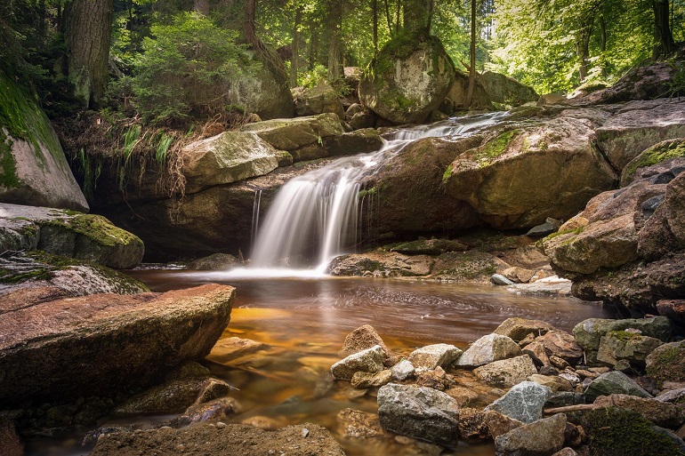 Harz National Park (photo by Sven Lachmann from Pixabay)