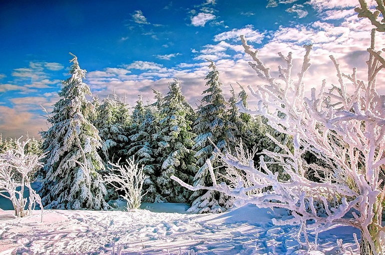 Winter in the Harz National Park (photo by kordula vahle from Pixabay)