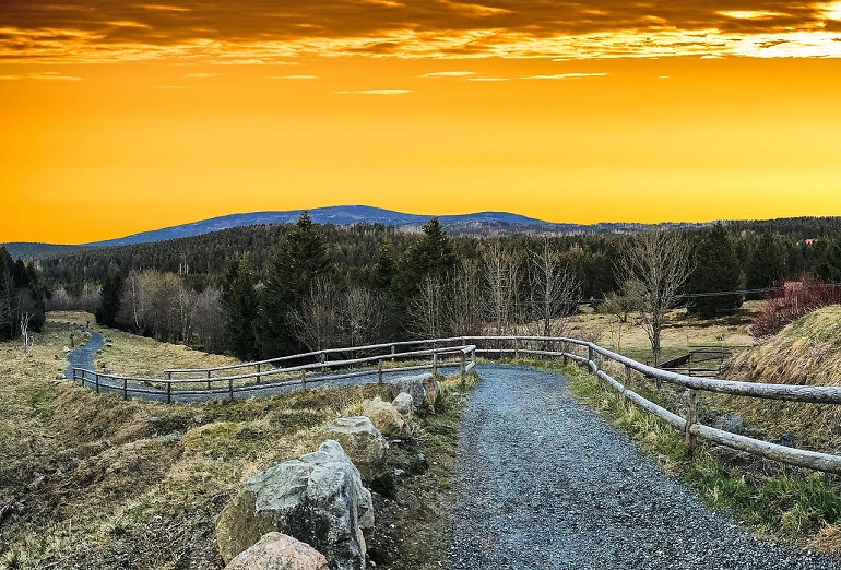 Hiking path, Harz National Park (photo from Pixabay)