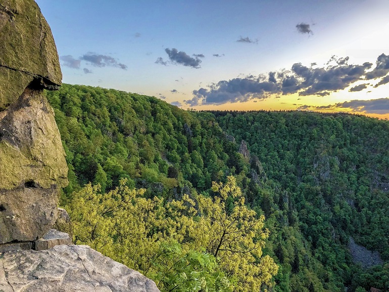 Harz National Park (photo from Pixabay)