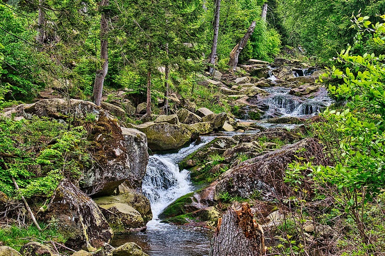 Ilse Valley near Ilsenburg on the Heinrich Heine Trail to the Brocken Mountain, Harz National Park (photo by Matthias Trusheim - CC BY-SA 4.0)