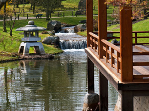 Japanese Garden, Hasselt (&copy; Alison Cornford-Matheson - iStockphoto.com)