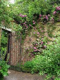 Gardens of Hex