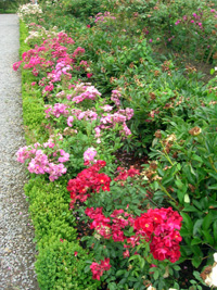 Gardens of Hex