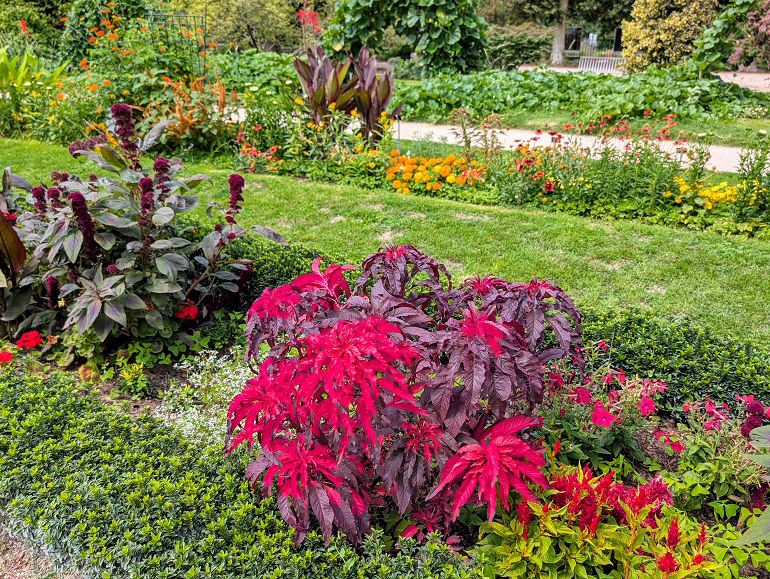 Jardin des Plantes (© Eupedia.com)