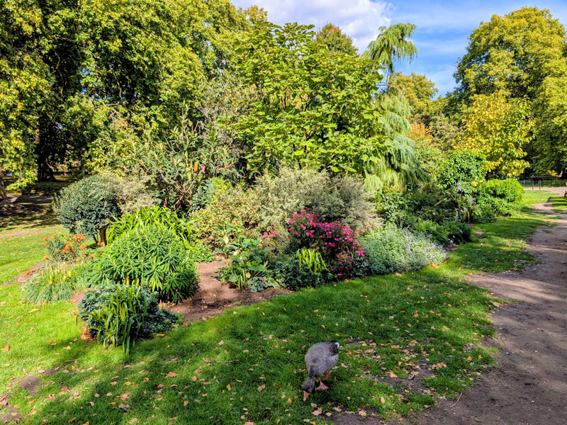 St James's Park, London (� Eupedia.com)