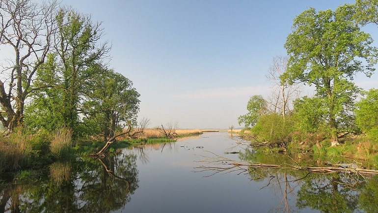Lower Oder Valley National Park (photo by GentsBilder - CC BY-SA 4.0)