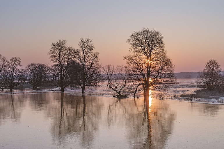 Polders in winter, Lower Oder Valley National Park (photo by Lena vom Land - CC BY-SA 4.0)