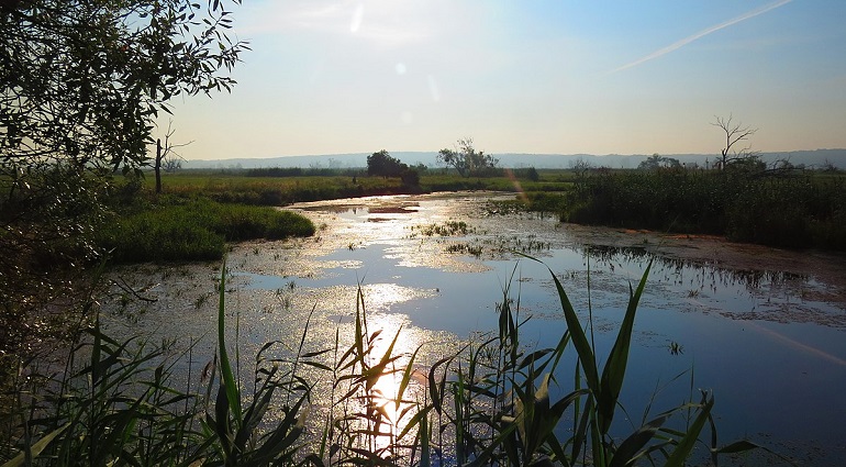 Lower Oder Valley National Park (photo by GentsBilder - CC BY-SA 4.0)