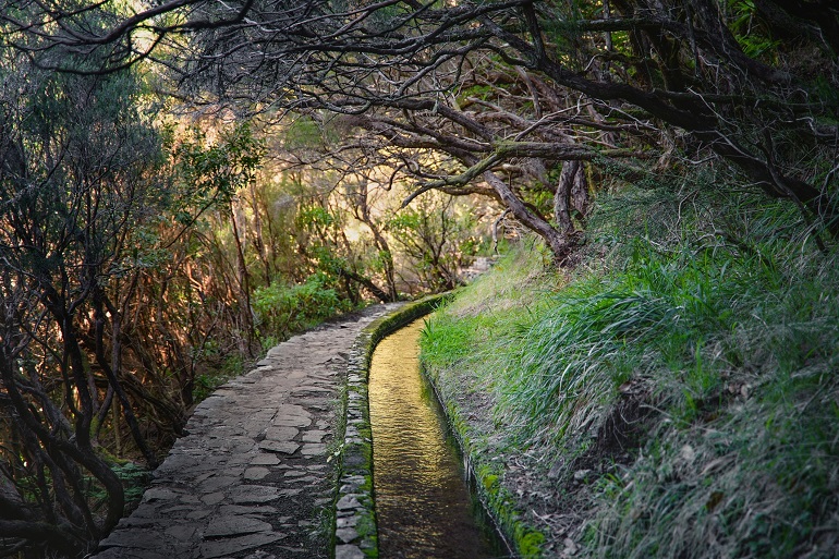 Levada do Risco, Rabacal, Madeira Natural Park (© Martin Blazicek | Dreamstime.com)