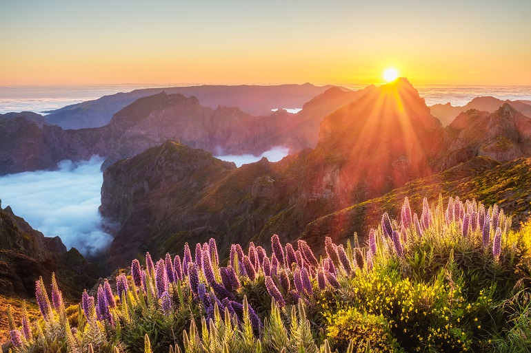 View from Pico do Arieiro, Madeira Natural Park (© Dmitry Rukhlenko | Dreamstime.com)