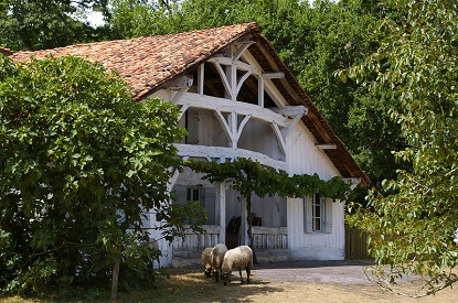 Marquèze, Aquitaine (photo by jacme31 - CC BY-SA 2.0)