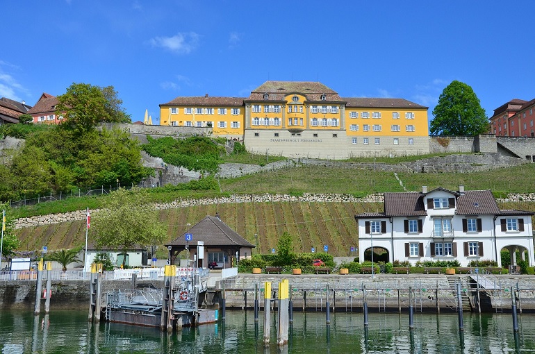 Vineyard and Staatsweingut, Meersburg (photo by Werner Schnetzer from Pixabay)