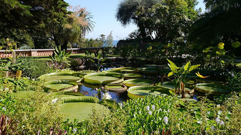 Jardin Botanique Val Rahmeh-Menton, Menton (photo by Gossipguy - CC BY-SA 4.0)