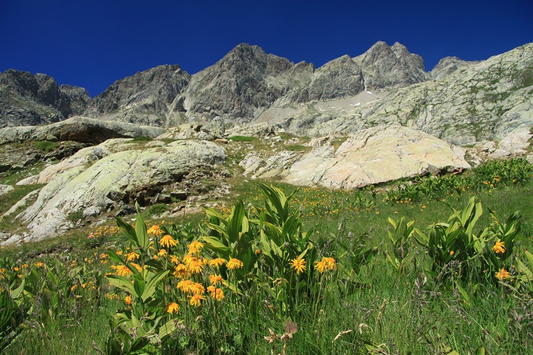 Lac de la Fous, Mercantour National Park (© Gilles Barattini | Dreamstime.com)