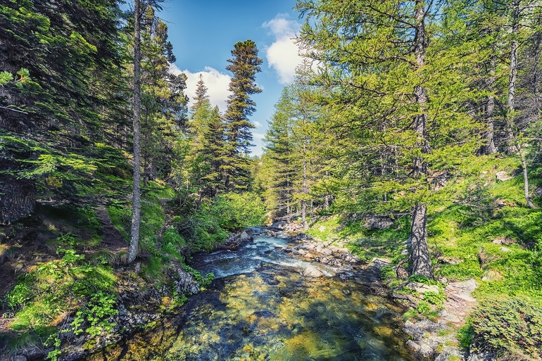 Mercantour National Park (© Manjik | Dreamstime.com)