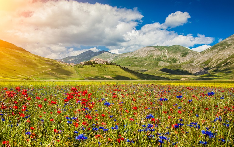 Piano Grande summer landscape, Monti Sibillini National Park (© minnystock | Dreamstime.com)