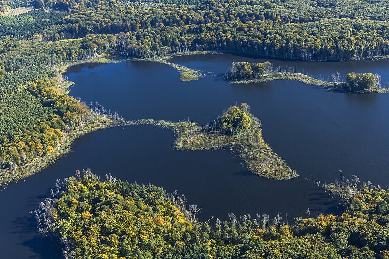 Schweingartensee, Müritz National Park (photo by Palomala - CC BY-SA 4.0)