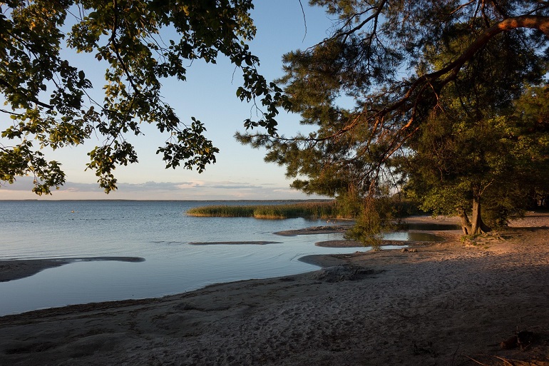 Müritz National Park (photo by Wolfgang Müller from Pixabay)