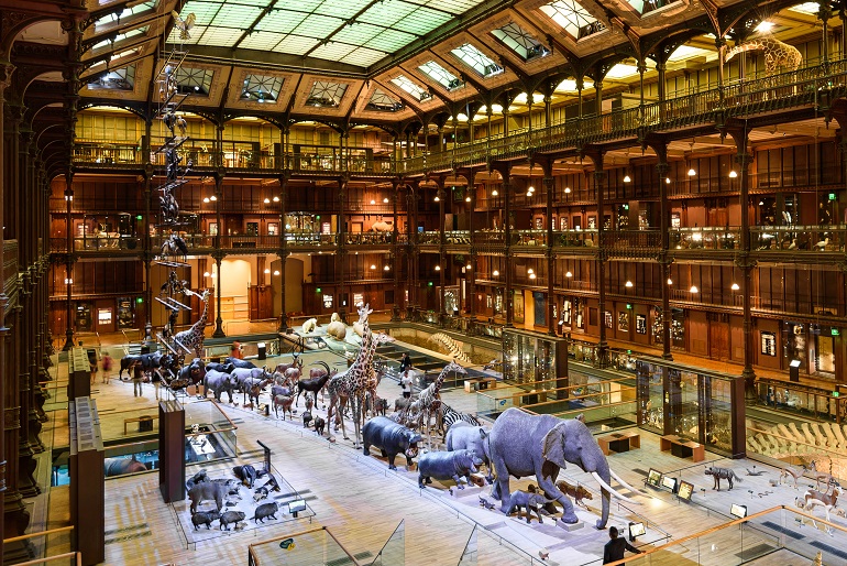 National Museum of Natural History, Paris (photo from PxHere)