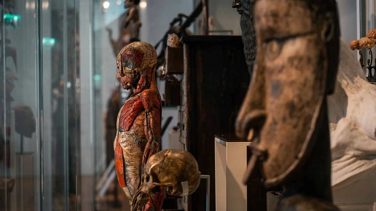 Musée de l’Homme, Paris (photo by Frédéric Picard 28 - CC BY-SA 4.0)