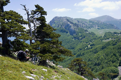 Pollino National Park (&copy; enrico863 - Fotolia.com)