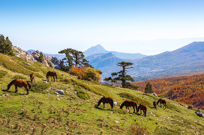 Pollino National Park (© Antonel | Dreamstime.com)