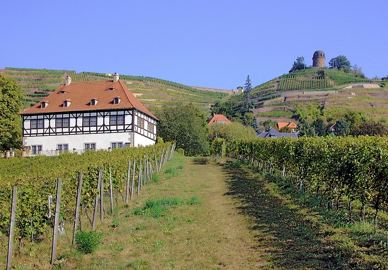 Schloß Hoflößnitz and Bismarck Tower in the vineyards of Radebeul (photo by Jörg Blobelt - CC BY-SA 4.0)