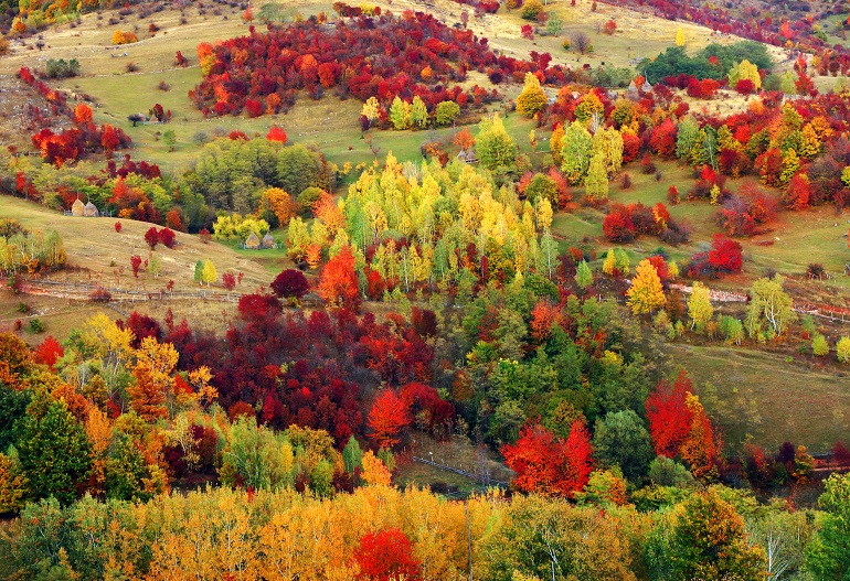 Autumn colors in Retezat National Park (© Rechitan Sorin | Dreamstime.com)