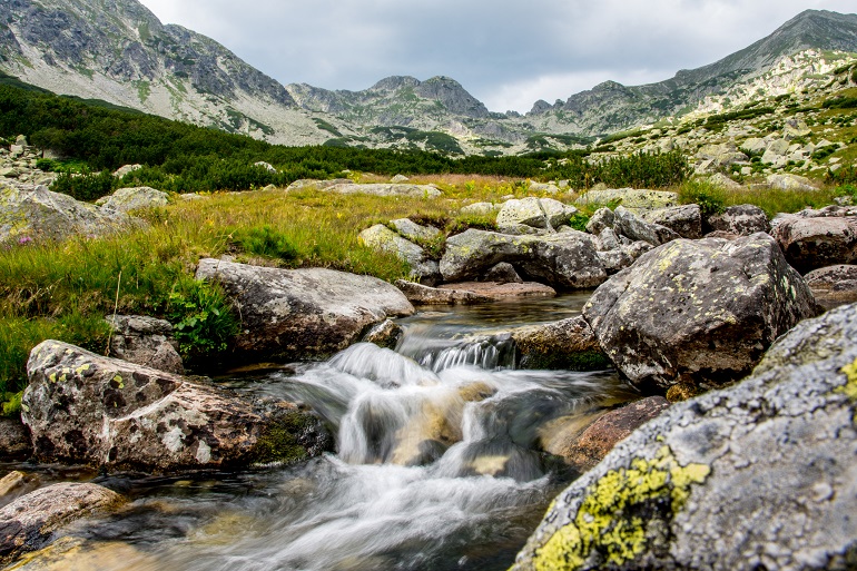 Mountain stream in Retezat National Park (© Catalin Gabriel Ante | Dreamstime.com)
