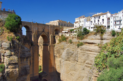 SRonda (&copy; nathandanks.com - Fotolia.com)