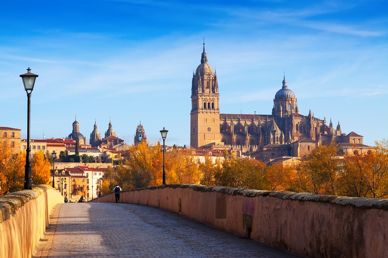 Old Cathedral of Salamanca (© Iakov Filimonov | Dreamstime.com)