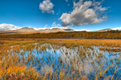 Sarek Nature Park (&copy; Tony Johansson - iStockphoto.com)