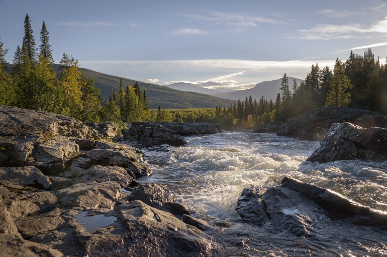 Wild river in Sarek National Park (© (null) (null) | Dreamstime.com)