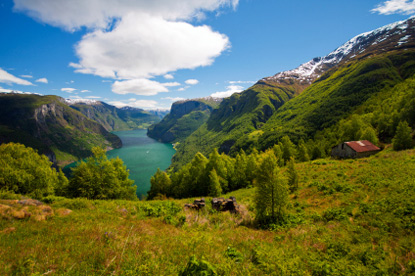Sognefjord (&copy; Excalibur - Fotolia.com)