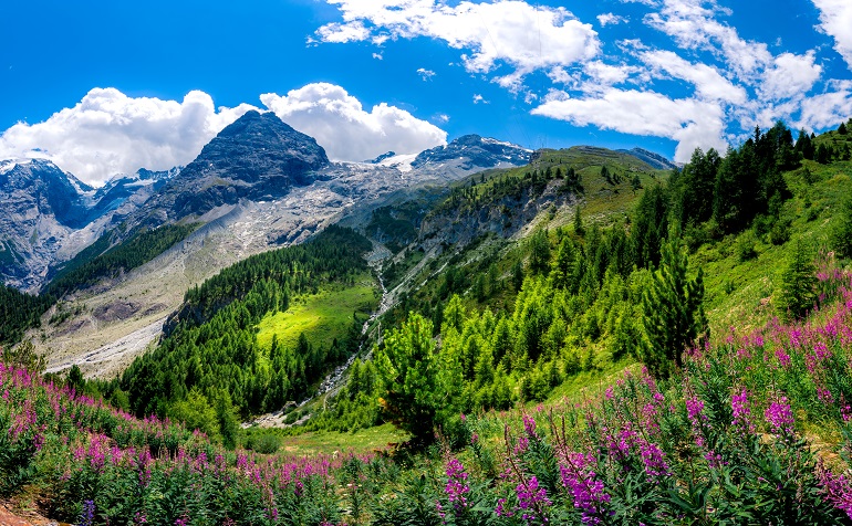 Famous road to Stelvio Pass in Ortler Alps, Stelvio National Park (© Georgios Tsichlis | Dreamstime.com)