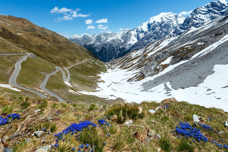 Stelvio Pass, Stelvio National Park (© Yuriy Brykaylo | Dreamstime.com)