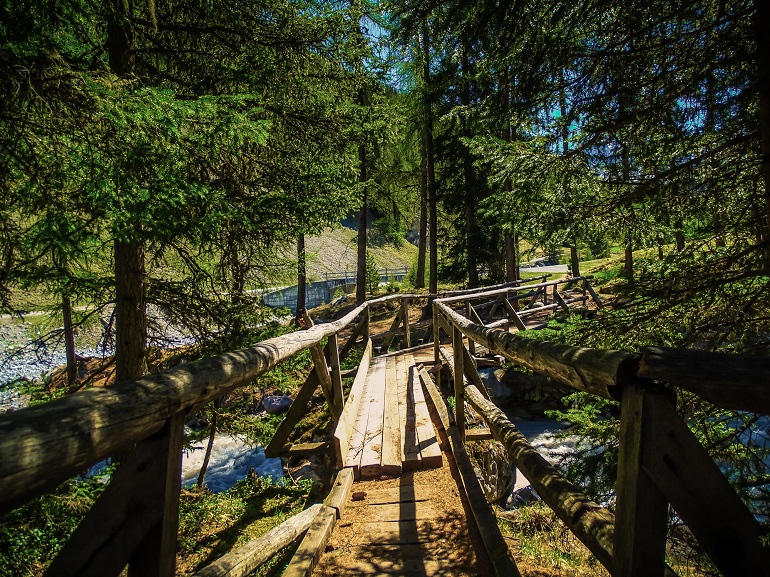 Hiking in Swiss National Park near Zernez (© Michael Zech | Dreamstime.com)