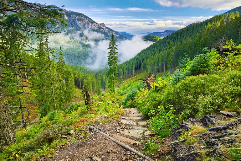 Trail in the West Tatra Mountains, Tatra National Park (© Utiwamoj | Dreamstime.com)