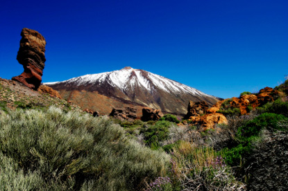Young chamois, Teide National Park (&copy; Excalibur - Fotolia.com)