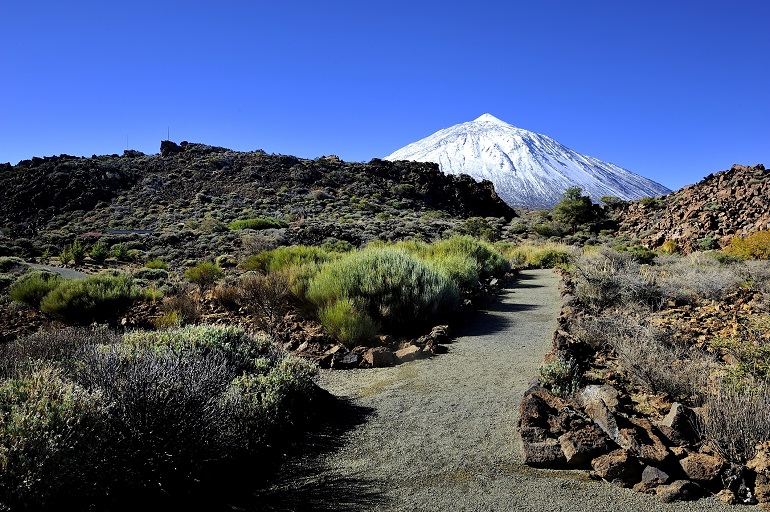 Teide National Park (© Drewrawcliffe  | Dreamstime.com)
