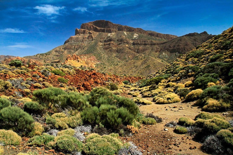 Teide National Park (© Benas324 | Dreamstime.com)